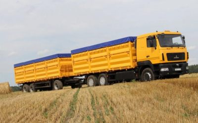Транспорт для перевозки зерна. Автомобили МАЗ - Калининград, заказать или взять в аренду