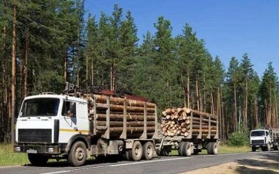Лесовозы для перевозки леса, аренда и услуги. - Калининград, заказать или взять в аренду