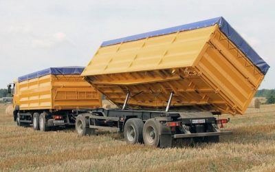 Услуги зерновозов для перевозки зерна - Калининград, цены, предложения специалистов
