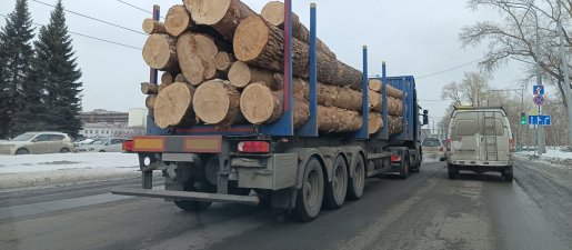 Поиск транспорта для перевозки леса, бревен и кругляка стоимость услуг и где заказать - Калининград